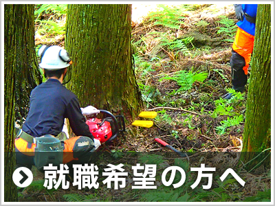 就職希望の方へ