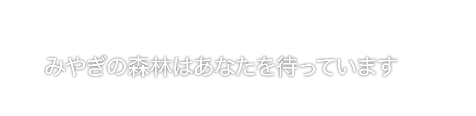 みやぎの森林はあなたを待っています