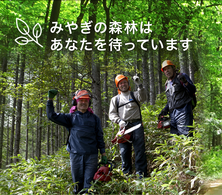 みやぎの森林はあなたを待っています
